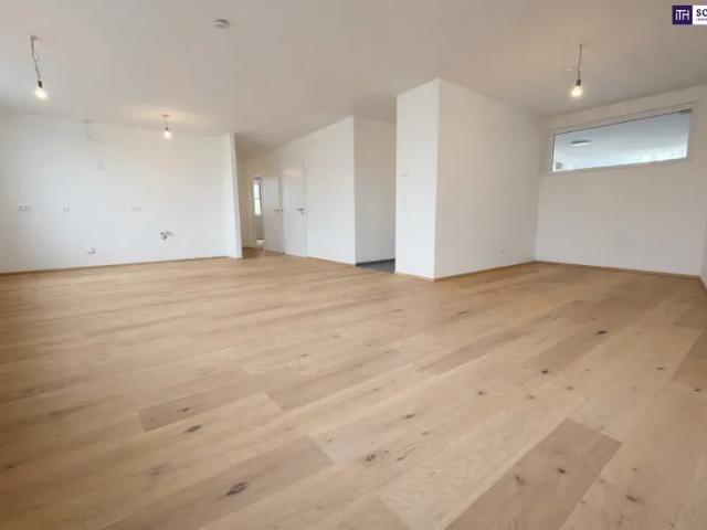 Wohnung kaufen in Katastralgemeinde Traiskirchen, Traiskirchen