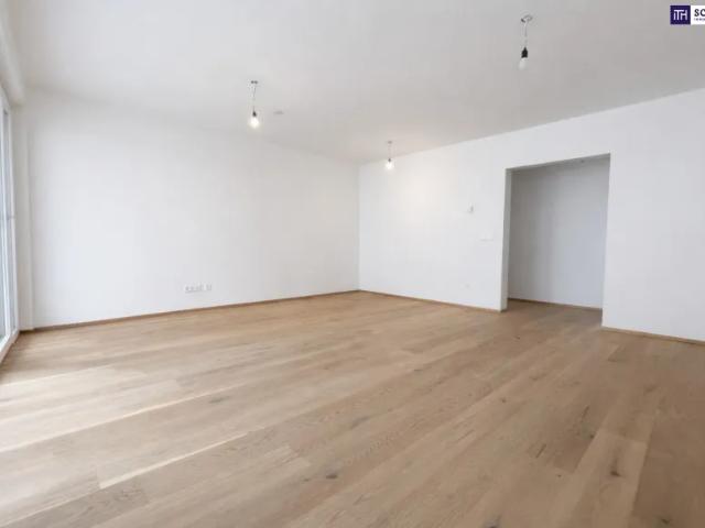 Wohnung kaufen in Katastralgemeinde Traiskirchen, Traiskirchen
