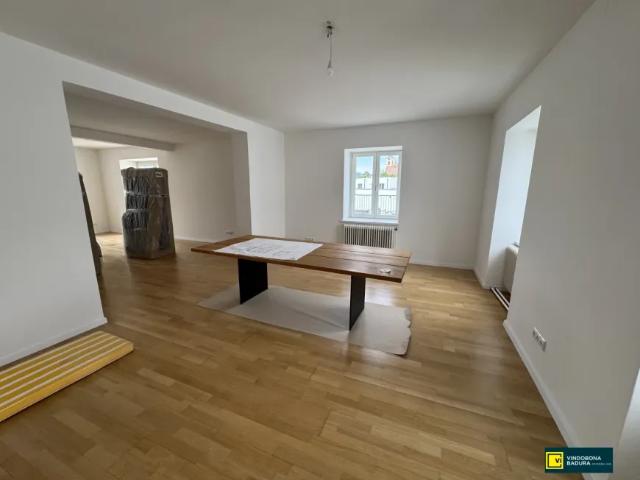 Wohnung kaufen in Katastralgemeinde Traiskirchen, Traiskirchen