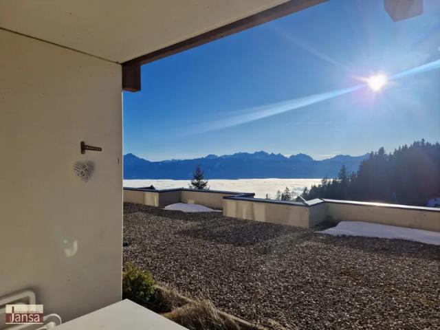 Wohnung kaufen in Treffen, Kärnten
