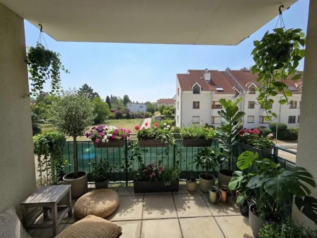 Wohnung mieten in Traiskirchen, Niederösterreich