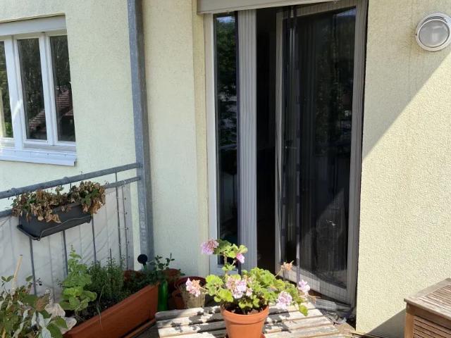 Wohnung mieten in Judendorf-Straßengel, Kärnten