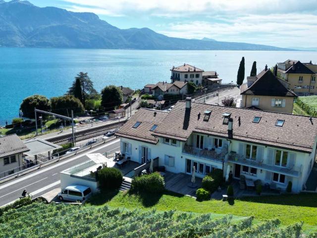 Wohnung kaufen in Rivaz, Waadt