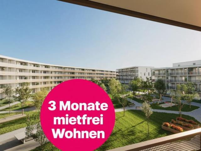 Wohnung mieten in Vösendorf, Bezirk Mödling