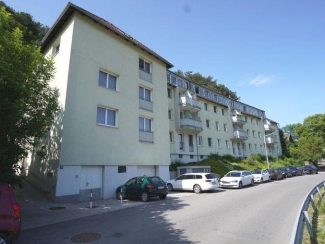 Wohnung kaufen in Miesenbach, Niederösterreich