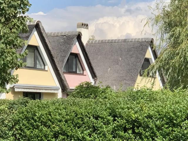 Wohnung mieten in Weiden am See, Burgenland