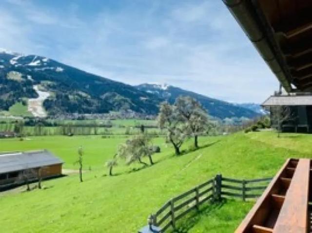 Wohnung mieten in Niederösterreich