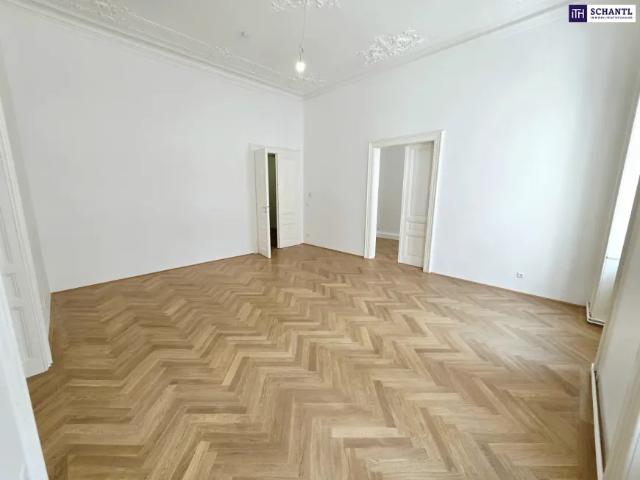 Wohnung mieten in Donaustadt, Wien