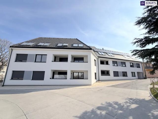 Wohnung kaufen in Donaustadt, Wien