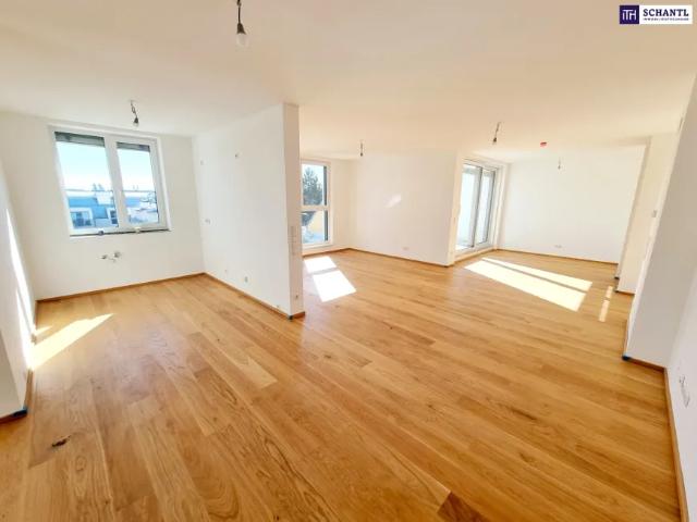 Wohnung kaufen in Donaustadt, Wien