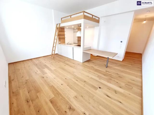 Wohnung mieten in Donaustadt, Wien