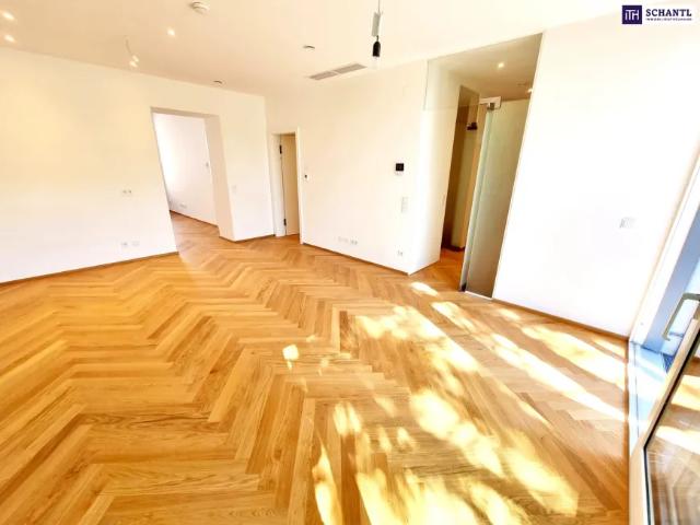 Wohnung mieten in Donaustadt, Wien