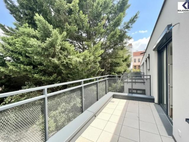 Wohnung mieten in Donaustadt, Wien