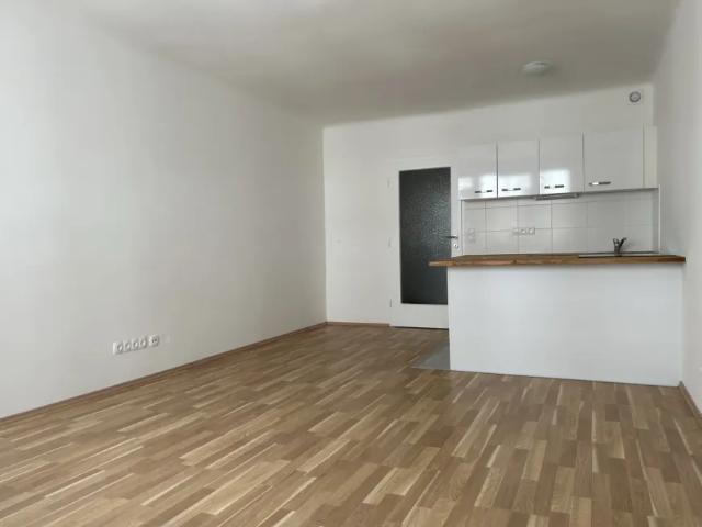 Wohnung mieten in Donaustadt, Wien
