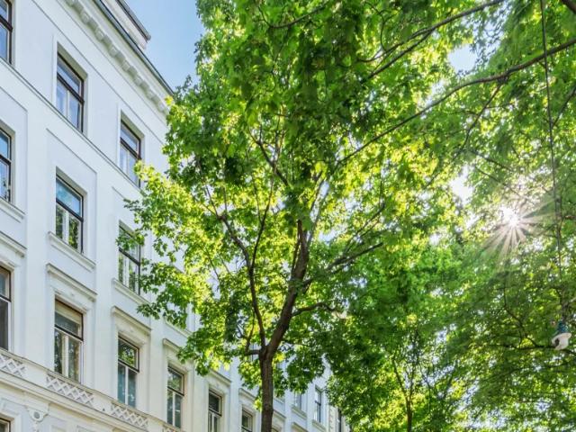 Wohnung mieten in Donaustadt, Wien