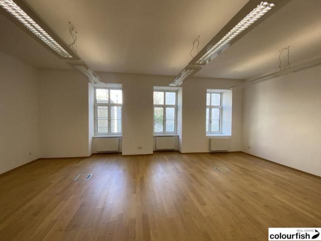 Wohnung mieten in Innere Stadt, Wien