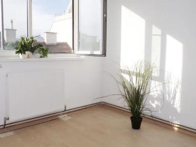 Wohnung mieten in Donaustadt, Wien