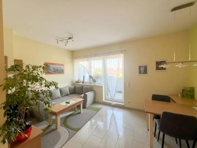 Wohnung mieten in Donaustadt, Wien