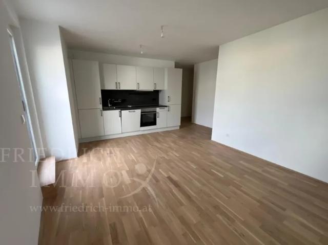 Wohnung mieten in Seestadt, Wien