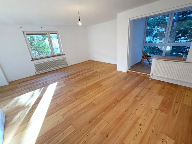 Wohnung mieten in Wiener Neudorf, Bezirk Mödling
