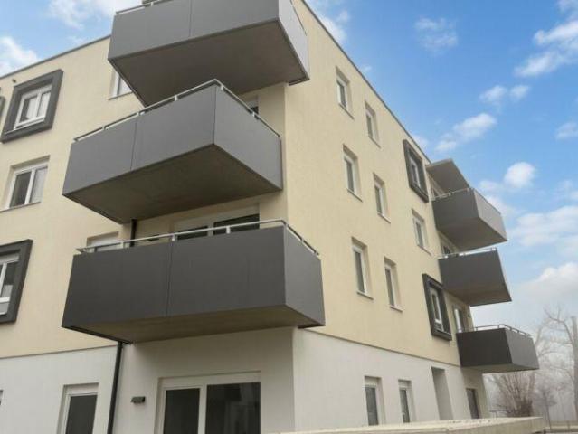 Wohnung mieten in Wiener Neustadt, Niederösterreich
