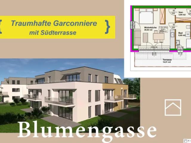 Wohnung kaufen in Wiener Neustadt, Niederösterreich