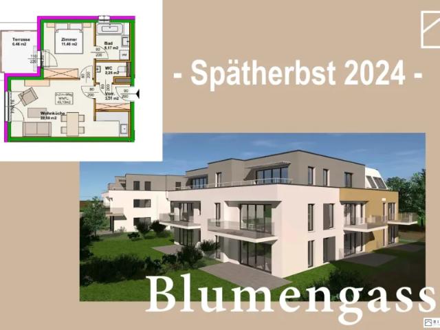 Wohnung kaufen in Wiener Neustadt, Niederösterreich