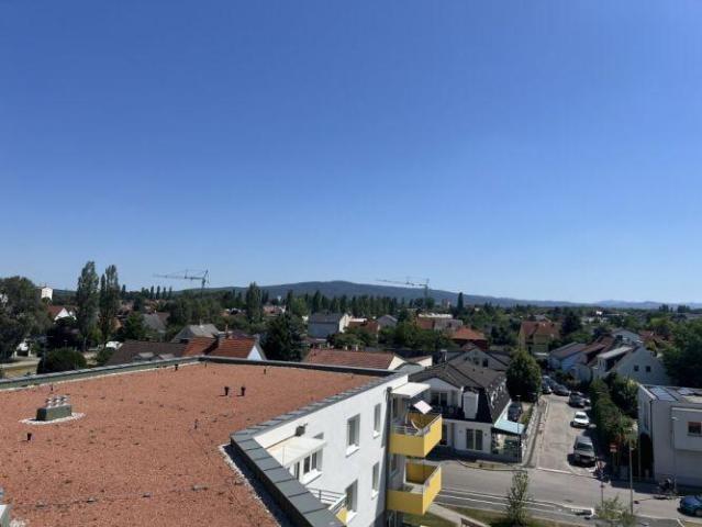 Wohnung mieten in Wiener Neustadt, Niederösterreich