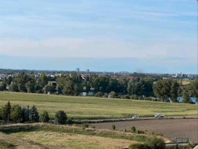 Wohnung kaufen in Nord-Hemshof, Ludwigshafen