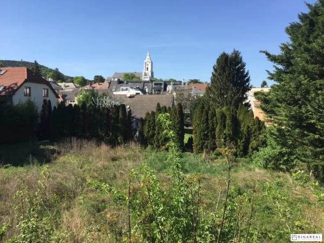 Wohnung kaufen in Bad Vöslau, Niederösterreich