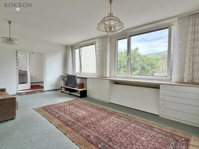 Wohnung kaufen in Bad Vöslau, Niederösterreich