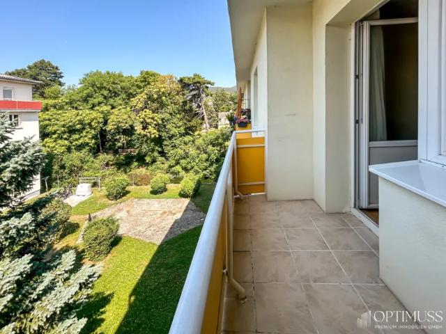 Wohnung kaufen in Baden, Niederösterreich