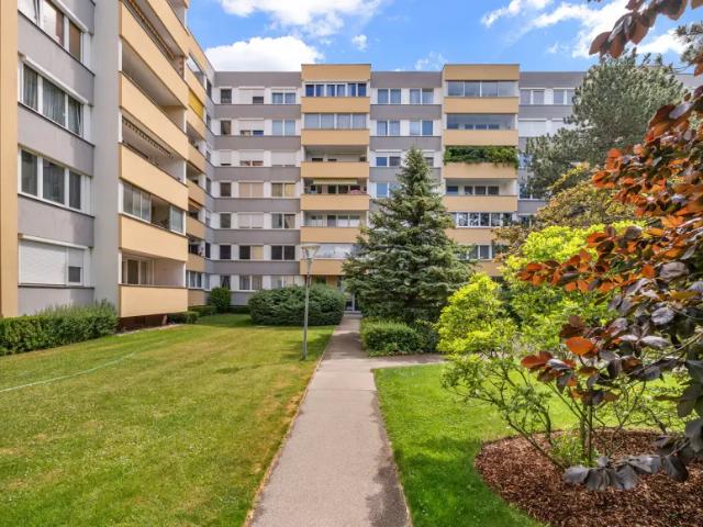 Wohnung kaufen in Baden, Niederösterreich