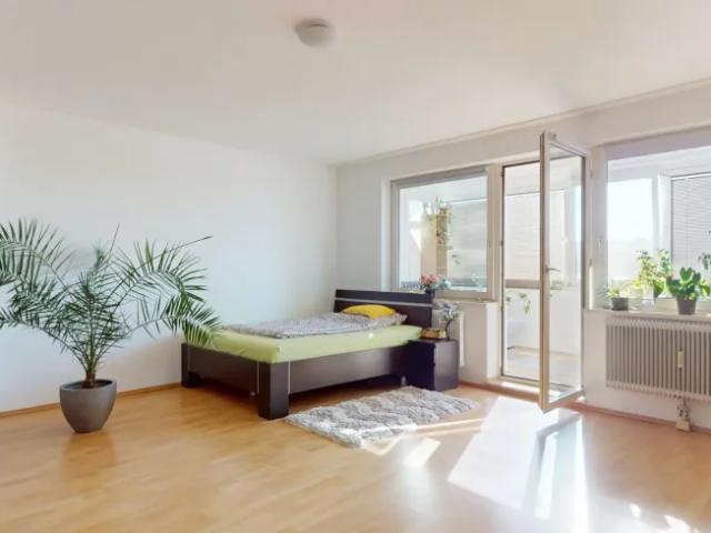 Wohnung kaufen in Biedermannsdorf, Niederösterreich