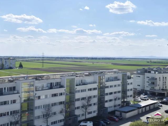 Wohnung kaufen in Gänserndorf, Niederösterreich