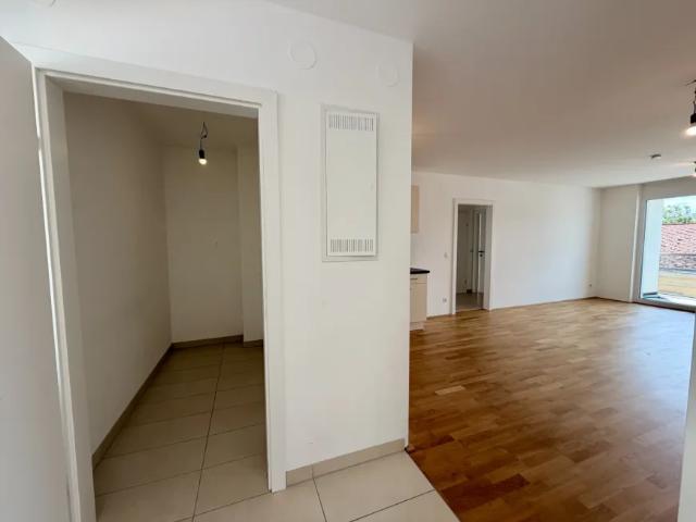 Wohnung kaufen in Gänserndorf, Niederösterreich