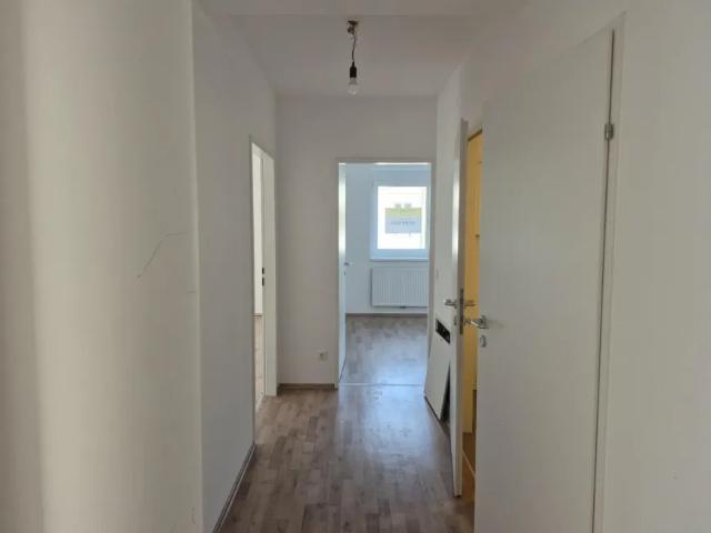 Wohnung kaufen in Dunkelsteinerwald, Niederösterreich