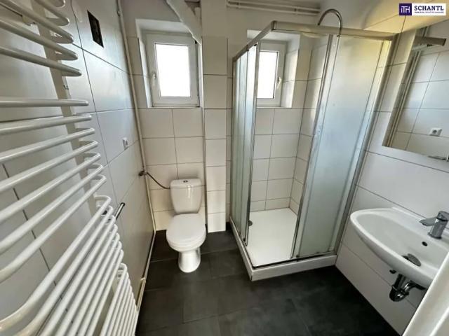 Wohnung kaufen in Andritz, Gersdorf-Feistritz