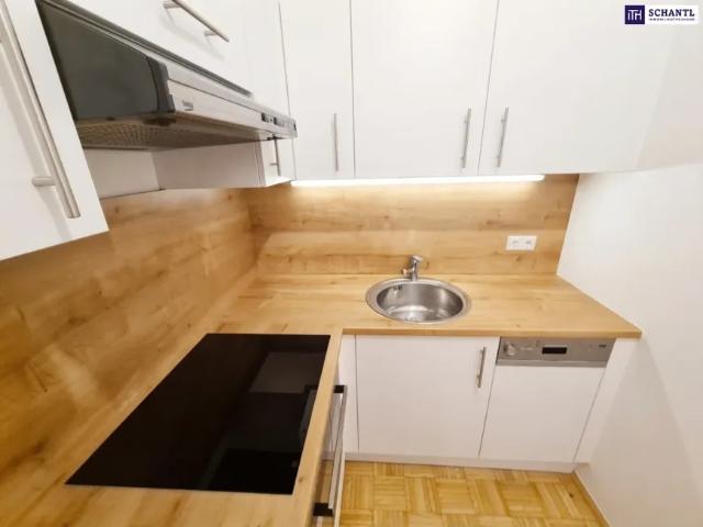 Wohnung kaufen in Katastralgemeinde Graz Stadt-St. Veit ob Graz, Graz