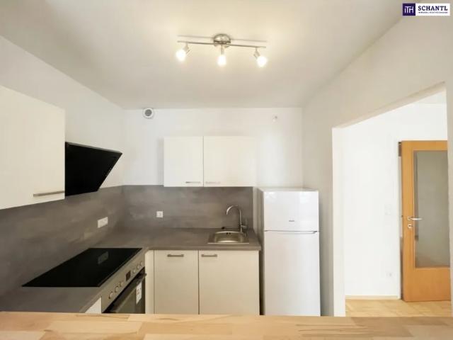 Wohnung kaufen in Katastralgemeinde Graz Stadt-St. Veit ob Graz, Graz