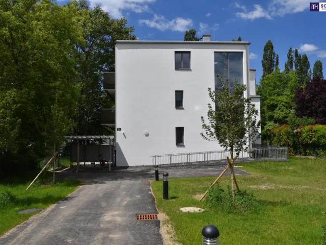 Wohnung kaufen in Andritz, Gersdorf-Feistritz