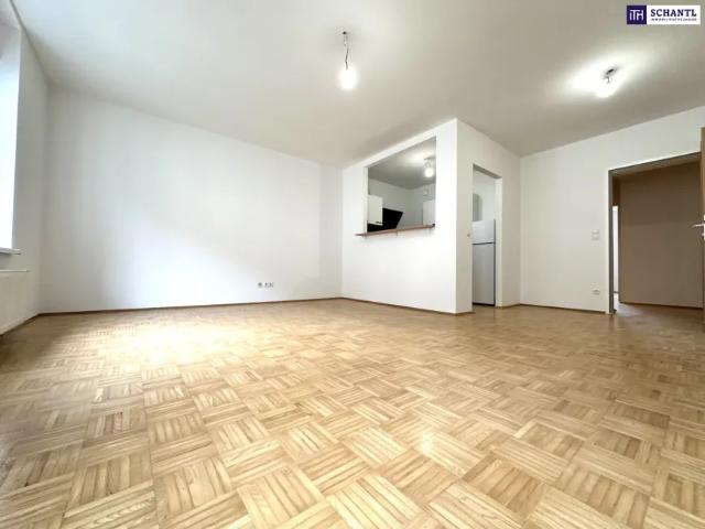 Wohnung kaufen in Andritz, Gersdorf-Feistritz