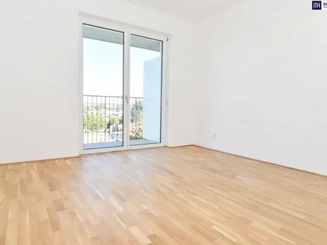 Wohnung kaufen in Katastralgemeinde Graz Stadt-St. Veit ob Graz, Graz