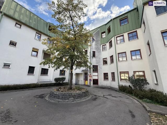 Wohnung kaufen in Katastralgemeinde Graz Stadt-St. Veit ob Graz, Graz