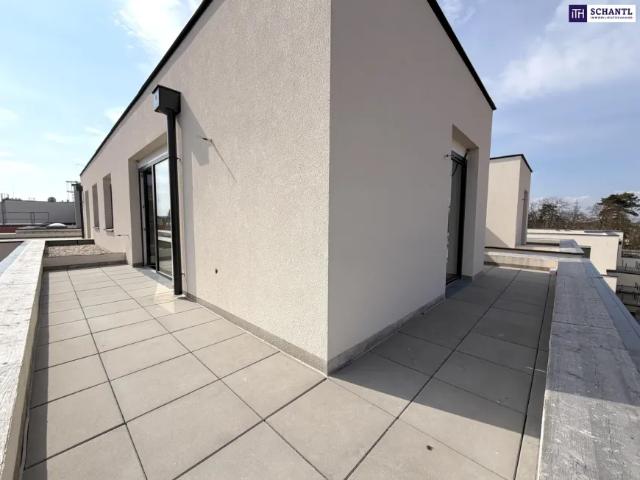 Wohnung kaufen in Groß-Enzersdorf, Niederösterreich