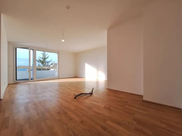 Wohnung kaufen in Hollabrunn, Niederösterreich