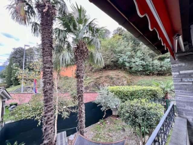 Wohnung kaufen in Losone, Tessin