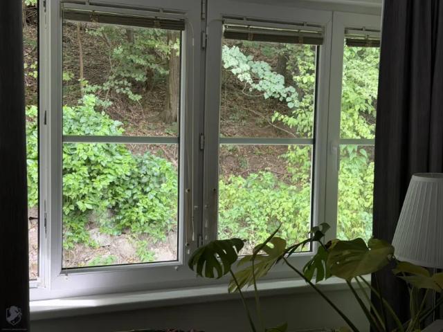 Wohnung kaufen in Kaltenleutgeben, Niederösterreich