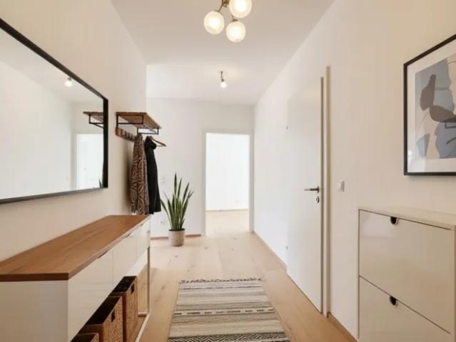 Wohnung kaufen in Krems an der Donau, Niederösterreich