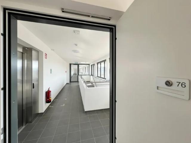 Wohnung kaufen in Krems an der Donau, Niederösterreich